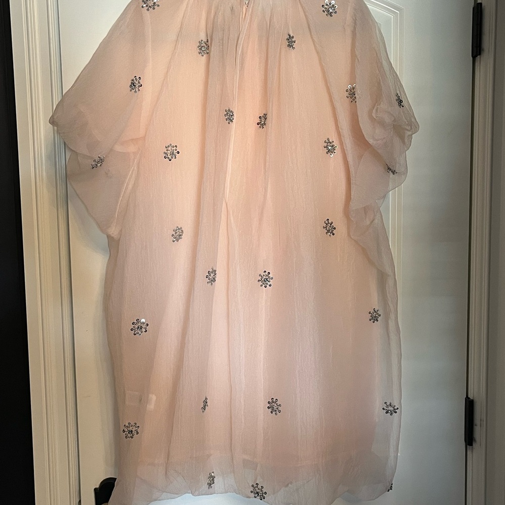 NWT-Zara Blush Pink Dress with Silver Accents - Picture 2 of 4